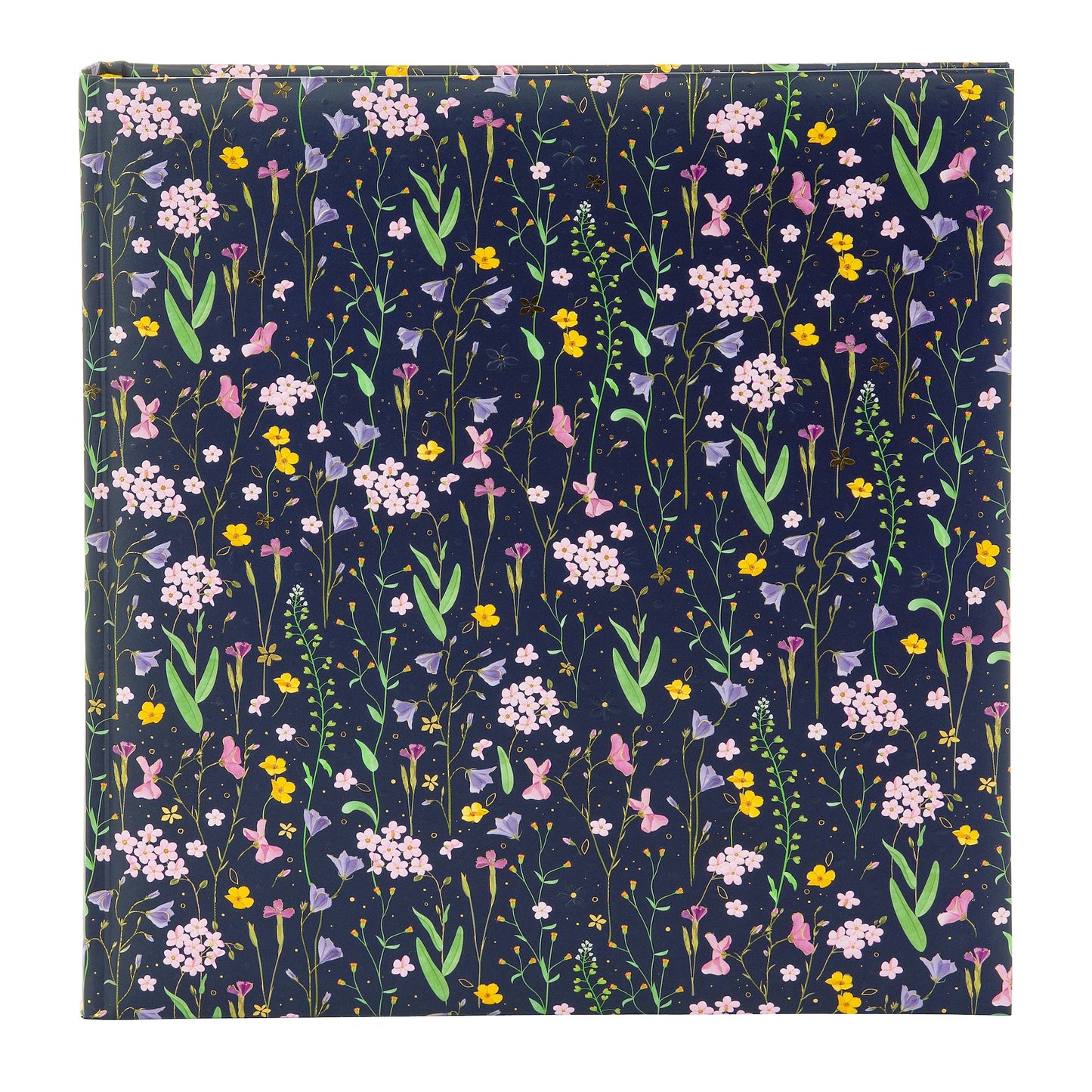 Album Meadow Miracles Blue
