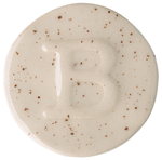 Botz Pro Glaze 200ml