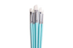 Himi Brush Set of 5 Blue