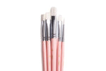 Himi Brush Set of 5 Pink