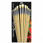 Sinoart  Acrylic & Oil Brush Set 12pcs
