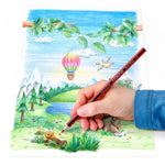 Staedtler Coloured Pencils 12pcs + Bonus