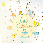 Album Hello Sunshine-120 Photos