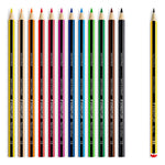 Staedtler Coloured Pencils 12pcs + Bonus