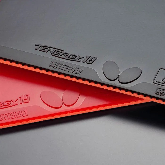 Butterfly Tenergy 19 - 2.1