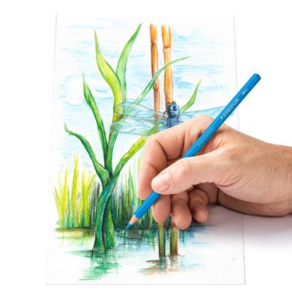 Staedtler Water Colour Pencils 14610C M12
