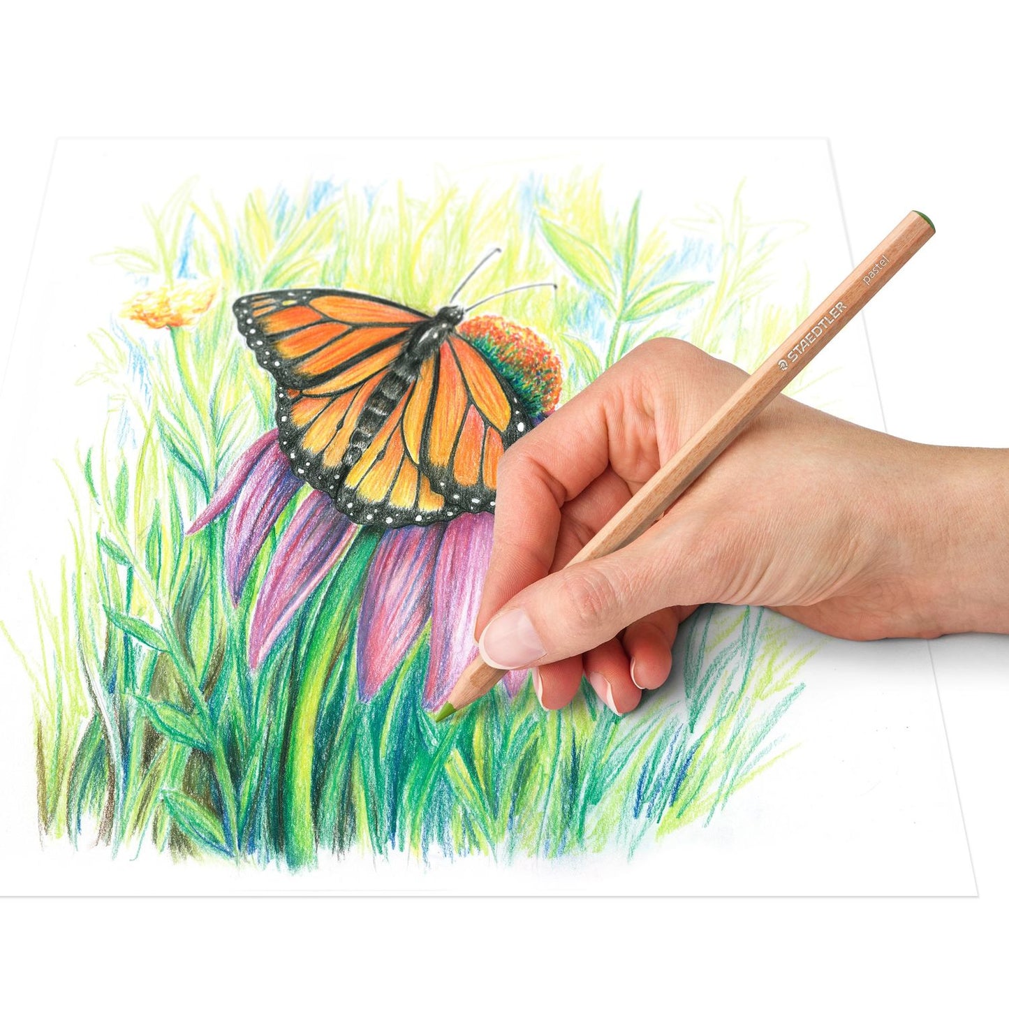 Staedtler Pastel pencil 1/12