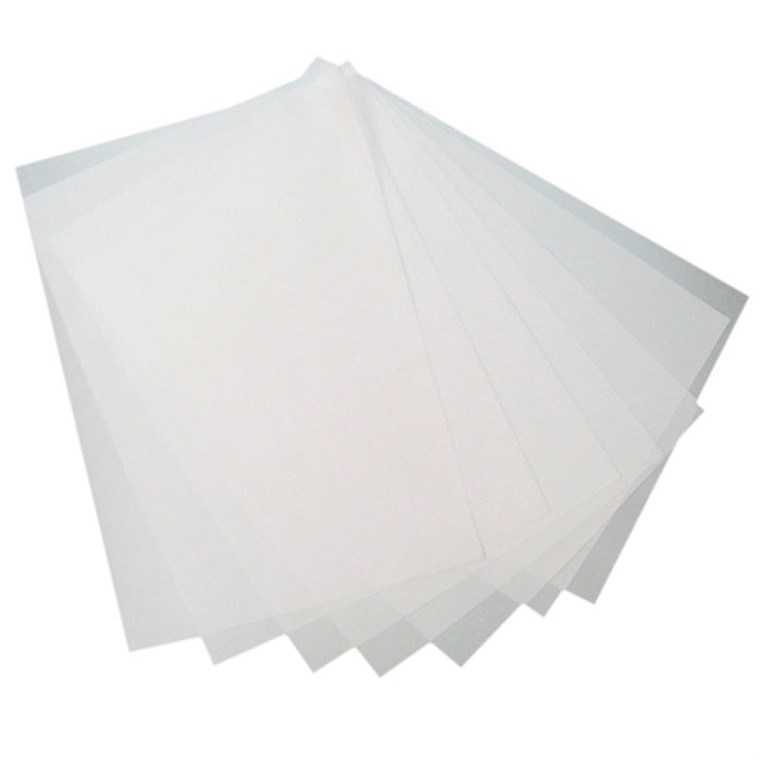 Paus B2 50x70cm